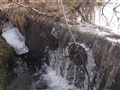 Stämbord, Kvarnsjön.jpg