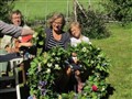 midsommar_12_005.jpg