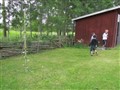 midsommar_12_038.jpg