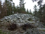 Gravröse. Ligger vid sjön Vångaren på Vångsunda marker